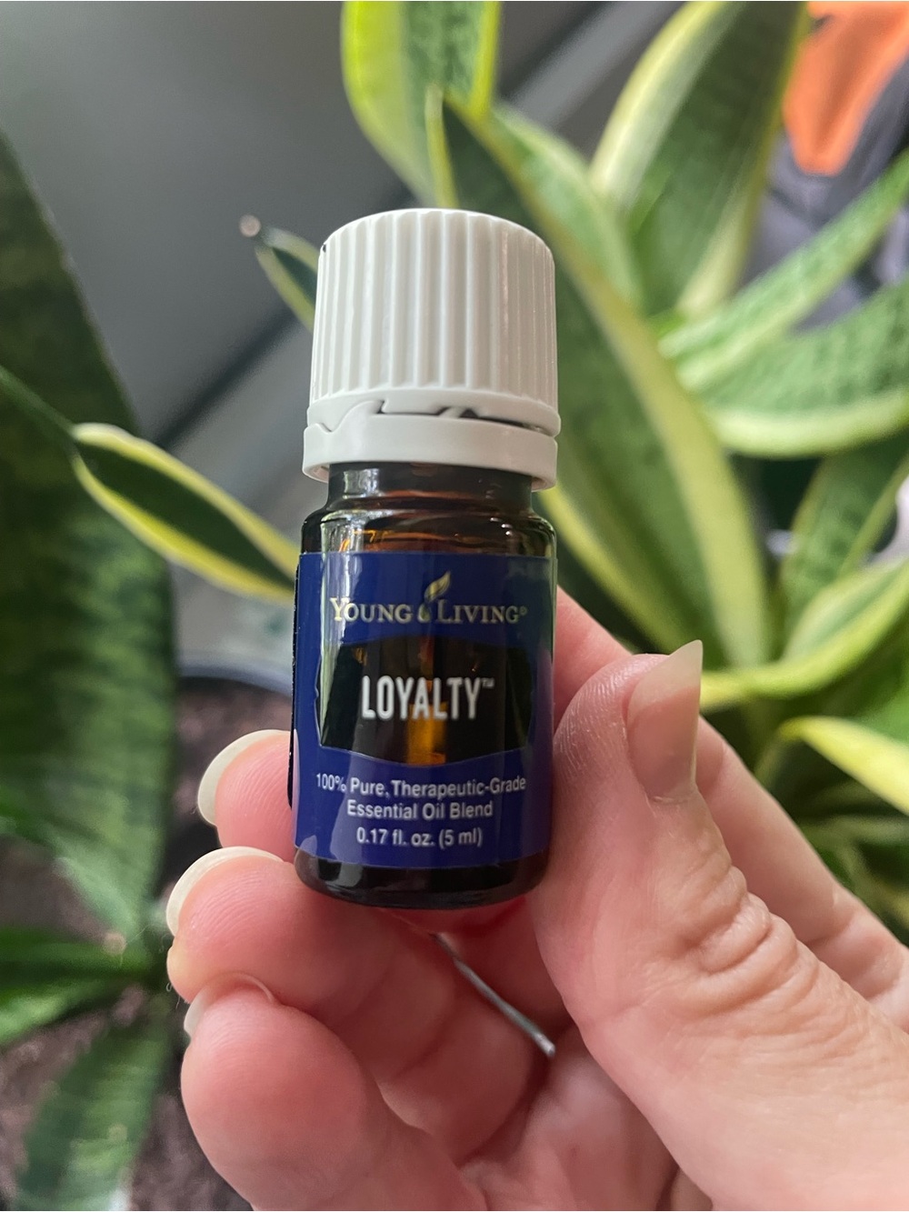 Young Living Loyalty Essential Oil Blend - .17 ml. NWT